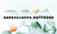 美国黑客攻击大面积停电_美国严打黑客视频