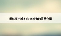 通过哪个域名ddos攻击的简单介绍