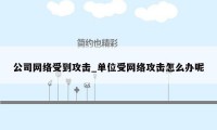 公司网络受到攻击_单位受网络攻击怎么办呢