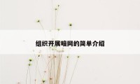 组织开展暗网的简单介绍