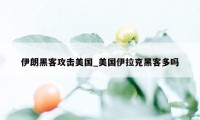 伊朗黑客攻击美国_美国伊拉克黑客多吗