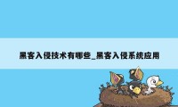 黑客入侵技术有哪些_黑客入侵系统应用