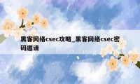 黑客网络csec攻略_黑客网络csec密码邀请