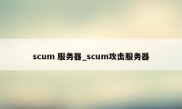 scum 服务器_scum攻击服务器