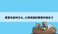 黑客攻击叫什么_入侵电路的黑客叫啥名子