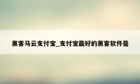 黑客马云支付宝_支付宝最好的黑客软件是