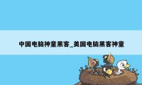 中国电脑神童黑客_美国电脑黑客神童