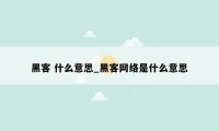 黑客 什么意思_黑客网络是什么意思