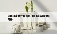 udp攻击是什么意思_udp攻击bgp服务器