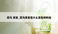 菜鸟 黑客_菜鸟黑客是什么意思啊网络