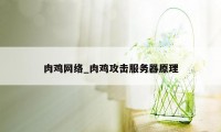 肉鸡网络_肉鸡攻击服务器原理