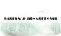 网络黑客分为几种_网络十大黑客技术有哪些