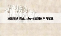 渗透测试 爬虫_php渗透测试学习笔记