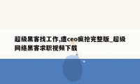 超级黑客找工作,遭ceo疯抢完整版_超级网络黑客求职视频下载