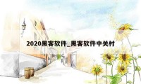 2020黑客软件_黑客软件中关村