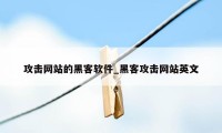 攻击网站的黑客软件_黑客攻击网站英文