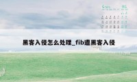 黑客入侵怎么处理_fib遭黑客入侵