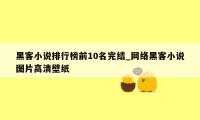 黑客小说排行榜前10名完结_网络黑客小说图片高清壁纸