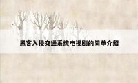 黑客入侵交通系统电视剧的简单介绍