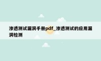 渗透测试漏洞手册pdf_渗透测试的应用漏洞检测